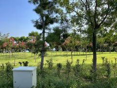 -刘公岛景区