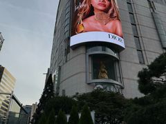 -乐天免税店(明洞店)