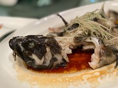 -富淳饭店(陆家嘴保利广场店)