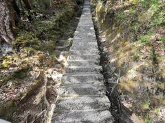-腾冲云峰山