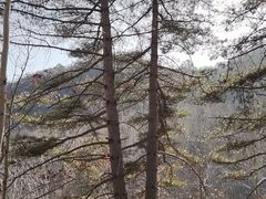 -玉渡山自然风景区