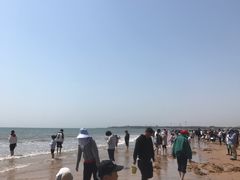 -日照海滨国家森林公园