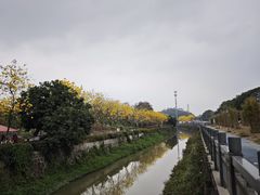 -长洲岛