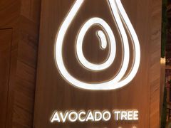 -油梨树AVOCADO TREE(嘉里中心店)