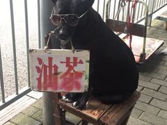 -糯米团油茶早餐铺