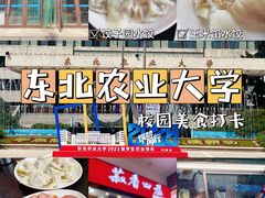 -东北农业大学