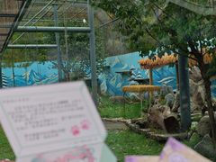 -青藏高原野生动物园