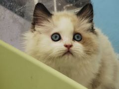 -北京清河万象汇