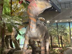 -湖南省地质博物馆