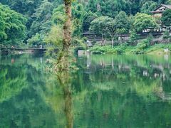 -峨眉山风景名胜区