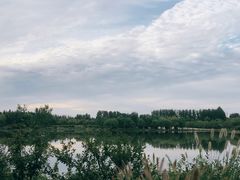 -东郊湿地公园