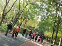 -大兴滨河森林公园