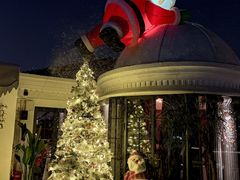 -弦月窗LUNETTE BY AMANDA(复兴路店)