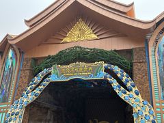 -西双版纳原始森林公园