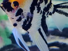 -常州海昌海洋探索馆