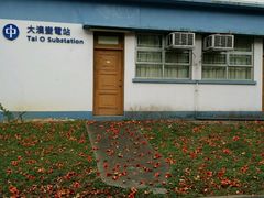 -文辉墨鱼丸大王(铜锣湾渣甸街总店)