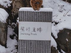 -北京鹫峰国家森林公园