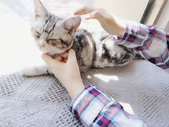 -平行世界·猫咖(首经贸店)