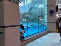 -帝企鹅自助餐厅•儿童岛•真企鹅(长隆企鹅酒店)