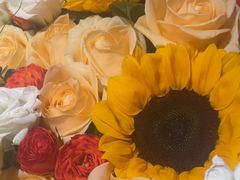 -山芋腔苏北菜(盐城滨海店)
