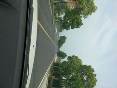 android_upload_pic-漕湖湿地公园