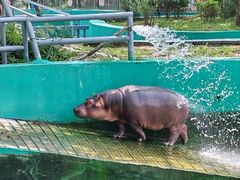 -西安秦岭野生动物园