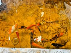 -Siam泰餐厅(水上公园店)