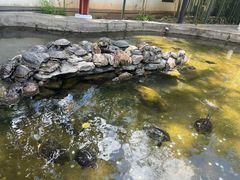 -红螺寺