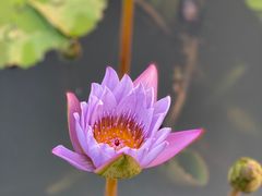 -北京师范大学(珠海校区)
