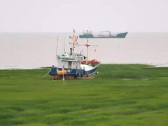 -平湖九龙山庄园圣马可酒店