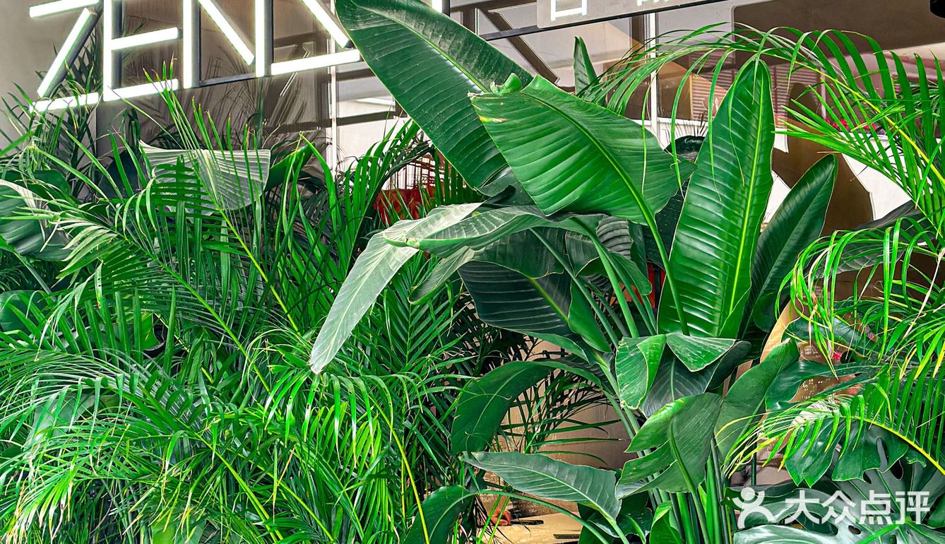 被二沙岛这家法式漂亮饭拿捏住了‼️