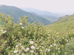 -灵山