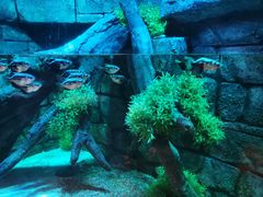 -沈阳海洋探索中心