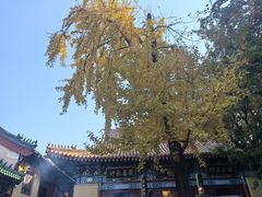 -千佛山风景名胜区