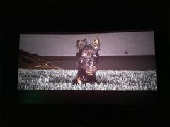 -万达影城(唐山爱琴海XLAND店)