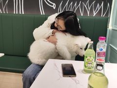 -安格丽娜·狗咖·猫咖羊驼咖(春熙路百盛商场店)