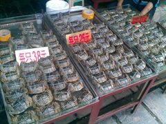 -梁子岛生态旅游区