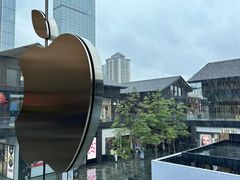 -Apple零售店(成都太古里店)