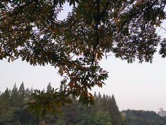 -环城公园-琥珀潭