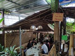 -Jungle Kitchen