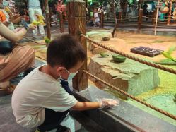 点击看大图 -酷嗒动物文化乐园(cutezoo西溪乐天城店)