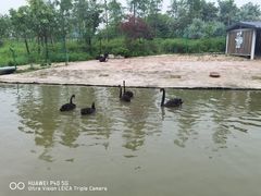 -琅岐红光湖公园