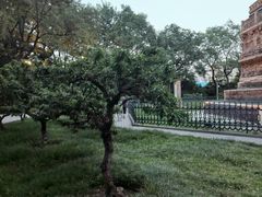 -玲珑塔公园