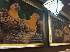 -云海肴·汽锅鸡·云南代表菜(天津国金汇店)