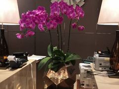 -广州粤海喜来登酒店