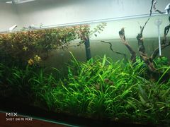 -萨宁音登锡伯风味餐厅(一楼店)