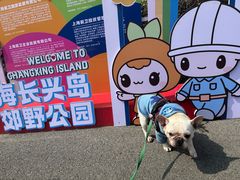 -上海长兴岛郊野公园