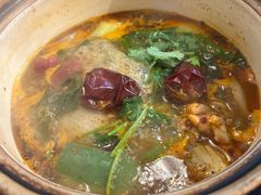 -随变烧烤麻辣鸡煲(佐敦店)