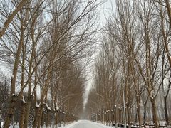 -吉林大学(前卫南区)