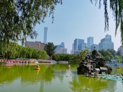 -团结湖公园
